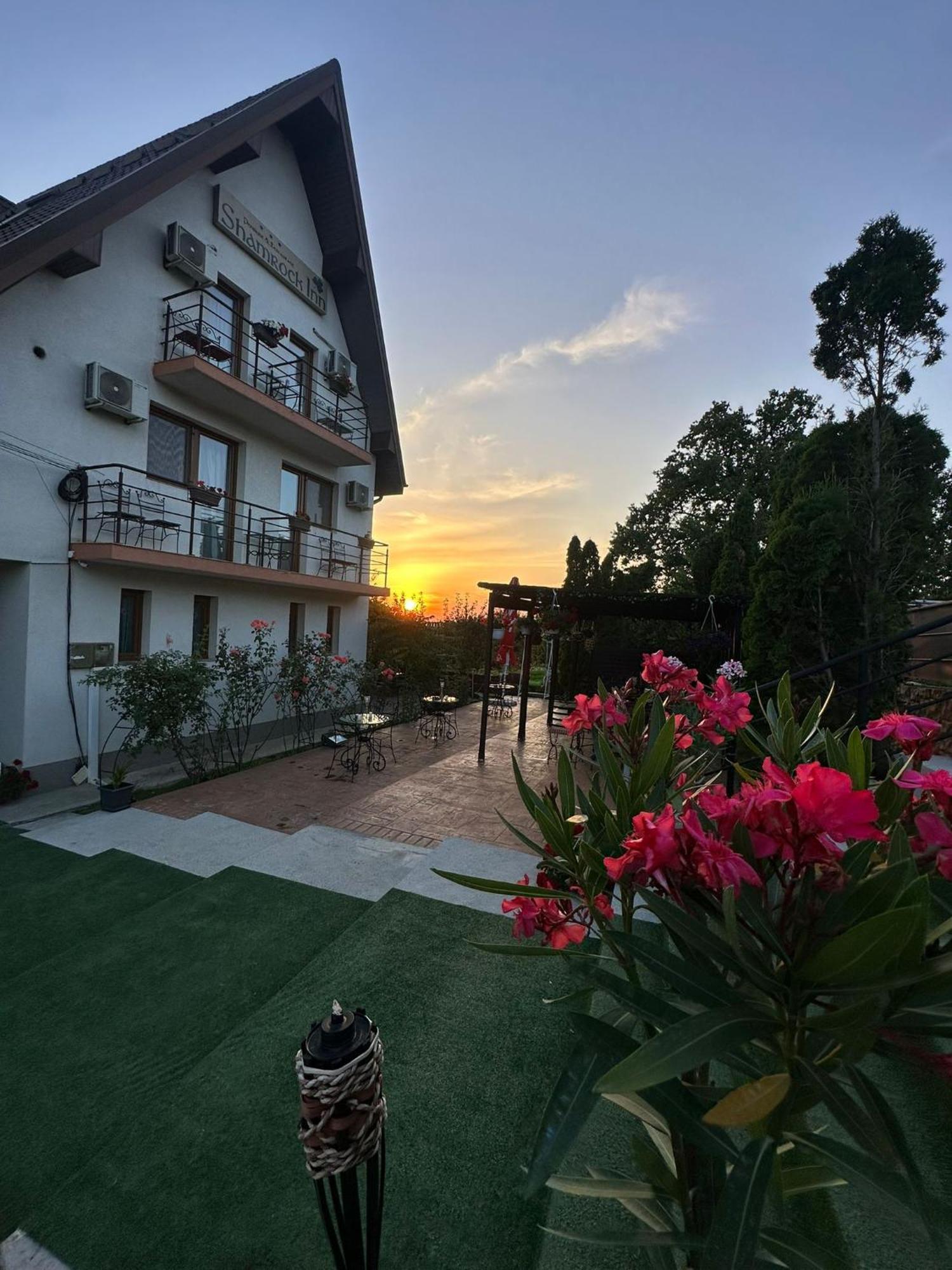 Shamrock Inn Iasi Exterior foto
